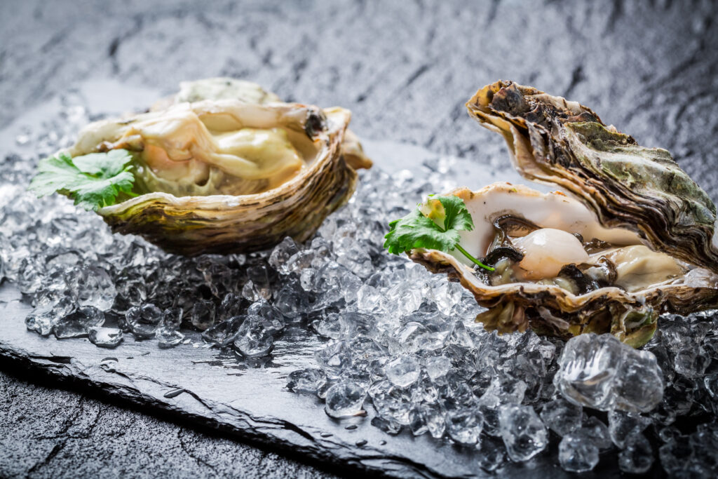 Savannah’s Oyster Revival