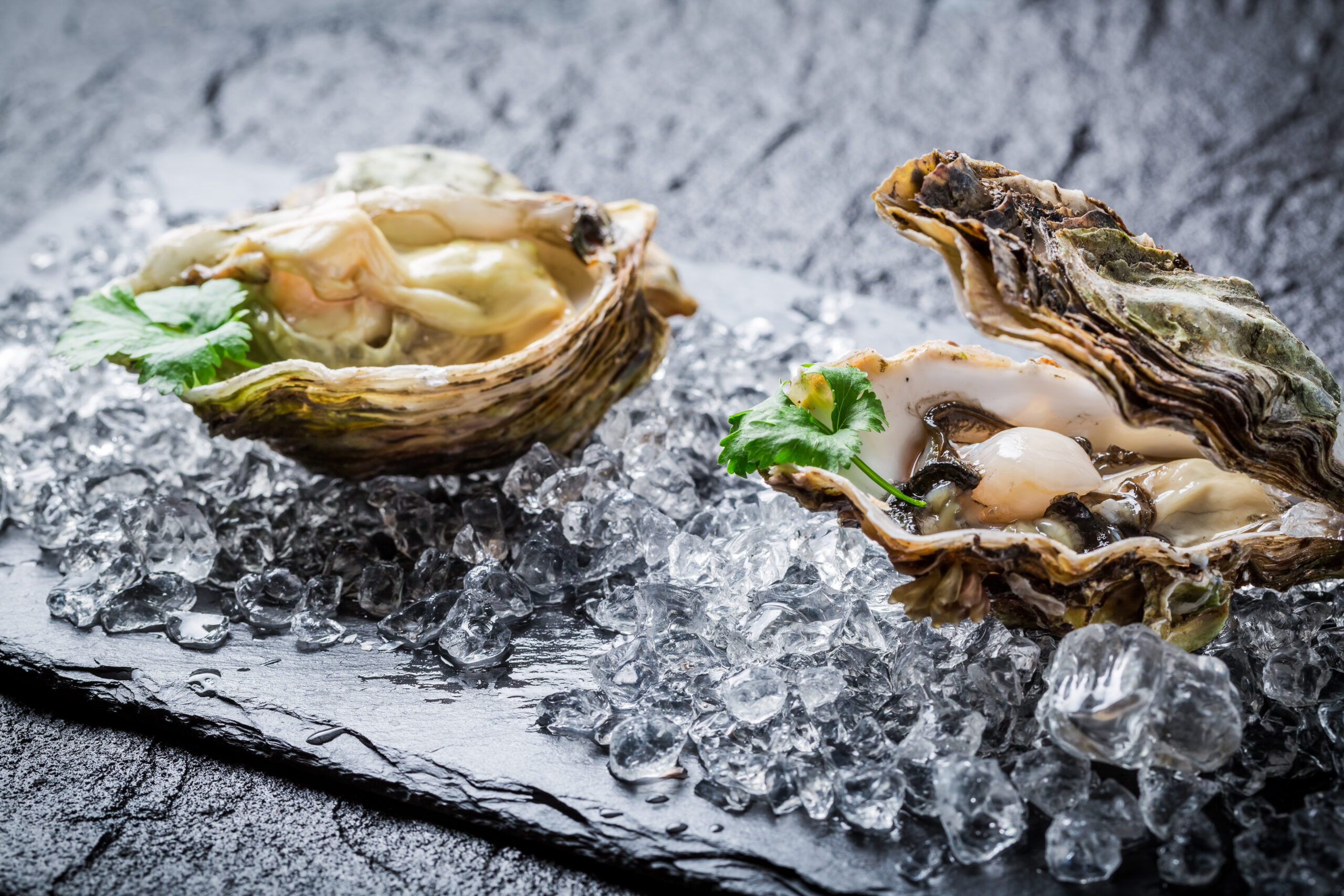 Savannah’s Oyster Revival